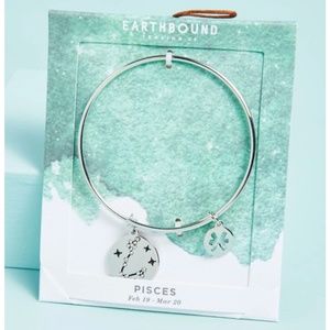 Earthbound Zodiac Pisces Silver Charm Bangle Bracelet NEW